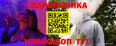 метадон Ефремов