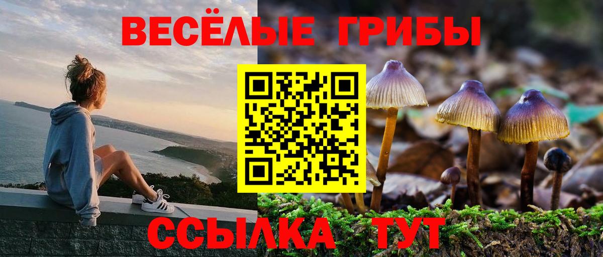 Галлюциногенные грибы Magic Shrooms Братск